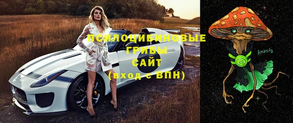 a pvp Надым