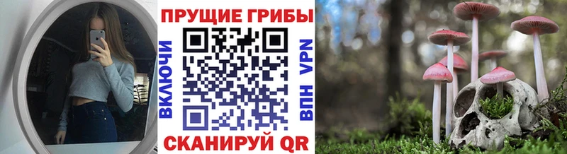 цены mega рабочий сайт Псилоцибиновые грибы Psilocybe Пойковский